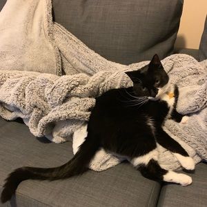 Meet your Posher, Jennifer